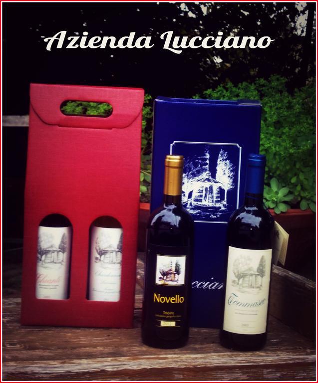 Agriturismo Lucciano San Casciano in Val di Pesa Rum bild
