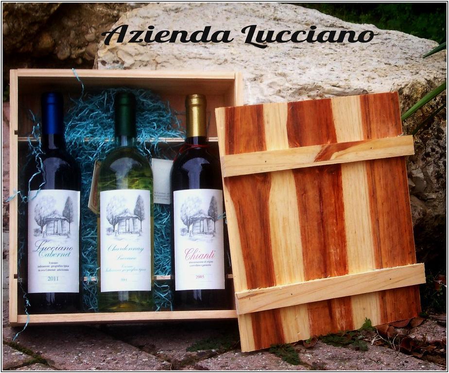 Agriturismo Lucciano San Casciano in Val di Pesa Rum bild