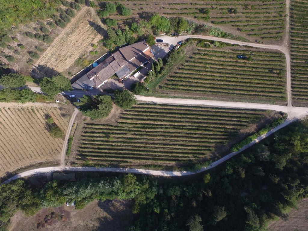 Agriturismo Lucciano San Casciano in Val di Pesa Exteriör bild